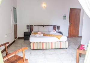 Olive Park Villas - Deluxe Suite 1