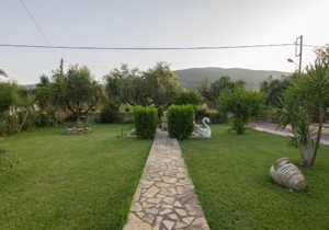 Olive Tree Apartment