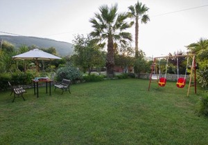 Olive Tree Apartment