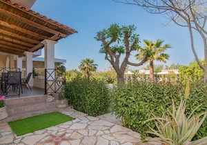 Olive Tree Apartment
