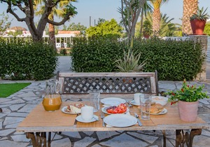 Olive Tree Apartment