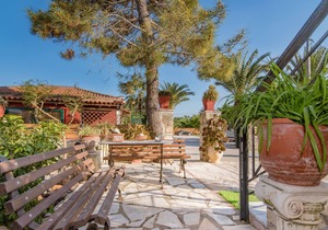 Olive Tree Apartment