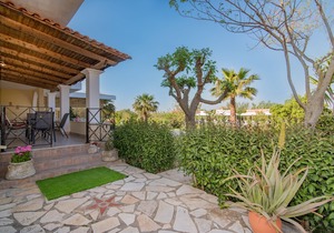 Olive Tree Apartment