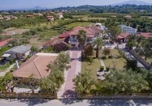 Olive Tree House
