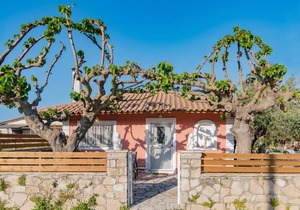 Olive Tree House