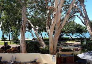 On Palm Cove Beachfront Apartments