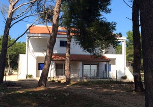 One bedroom apartment with terrace Verunić, Dugi otok (A-15209-b)