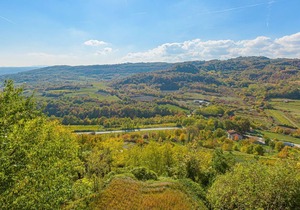 One-bedroom apartment A1 with shared pool in Central Istria
