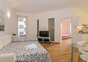 One bedroom apartment in Fieramilanocity
