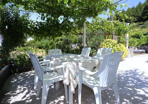 One bedroom apartment with terrace Žuljana, Pelješac (A-252-d)