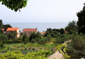 One bedroom apartment with terrace and sea view Ivan Dolac, Hvar (A-592-c)