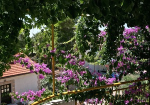 One bedroom apartment with terrace Ivan Dolac, Hvar (A-4584-b)