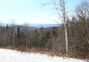 One Bedroom Loft Priced Right! White Mountain Views in Waterville Estates