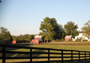One Bedroom One Bath Cottage On A 250 Acre Cattle Farm.