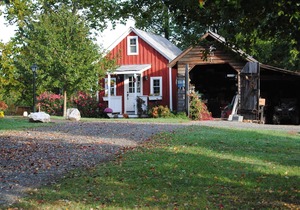 One Bedroom One Bath Cottage On 250 Acre Cattle Farm.