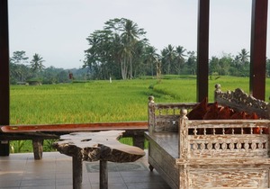 One Bedroom Villa overlooking to Rice Field
