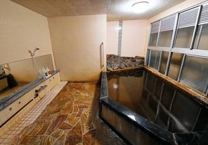 Onsen Inn Hamayu Nagi
