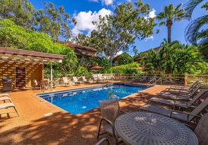 Open and Spacious Tropical Condo w/Private Washer/Dryer, Shared Pool, Free WiFi