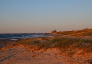 Ostsee - Reetdachhaus Nr 9 'Emma' im Strand Resort