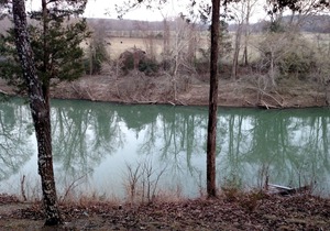 Ouachita River Cabin