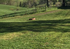 Overlooking a Slice of Heaven Near Dale Hollow Lake - Unit B - Pet Friendly