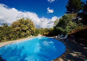 Pack Creek ~ Creekside East | 1 Bed, 1 Bath