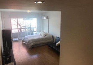 Palermo Queens Apartment