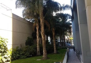 Palermo Towers suites II