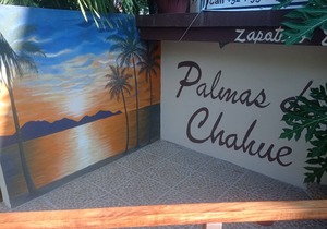 PALMAS DE CHAHUE C (581 SF)