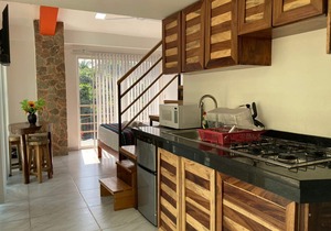 PALMAS DE CHAHUE D (516 SF)