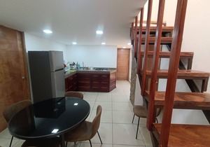 PALMAS DE CHAHUE J (700 SF)