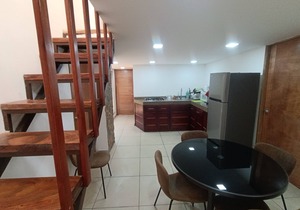 PALMAS DE CHAHUE K (700 SF), TERRACE