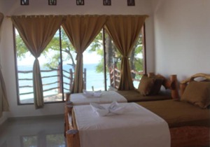 Panda Beach II
