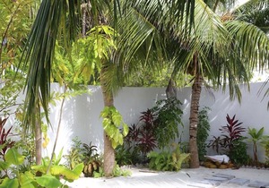 Pandanus Villa