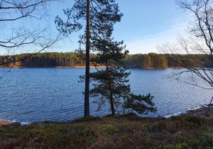 Pankkotupa 66 "13B"