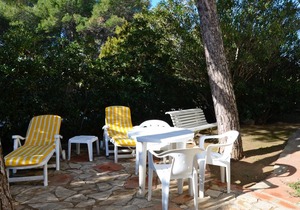 PARADIS 37