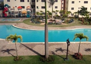 Paradise 3