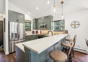 Park Forest 227 townhouse