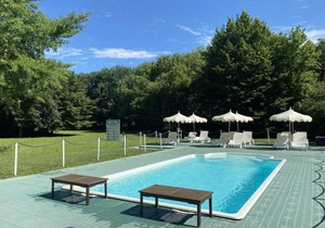 Park Hotel Junior