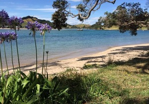 Pataua North On the beach