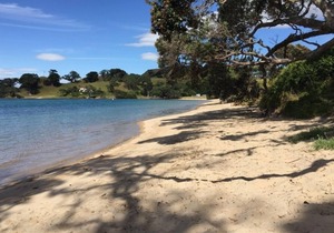 Pataua North On the beach
