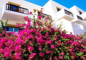 Patmos Paradise Hotel
