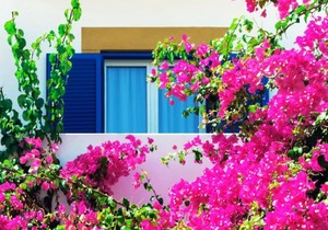 Patmos Paradise Hotel