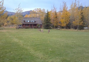 Peace And Serenity With Mountain Views On An Organic Cattle Ranch