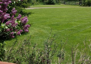 Peace And Serenity With Mountain Views On An Organic Cattle Ranch