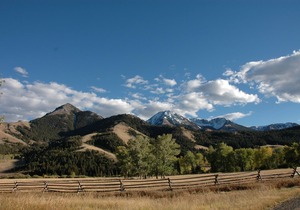 Peace And Serenity With Mountain Views On An Organic Cattle Ranch