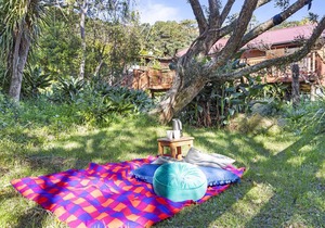 Peaceful cedar Cottage - 3 minutes to Muriwai Beach