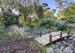 Peaceful cedar Cottage - 3 minutes to Muriwai Beach