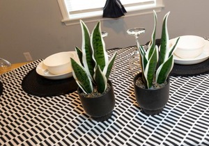 Peekskill Guesthouse-Downtown Modern Spotless Free Parking