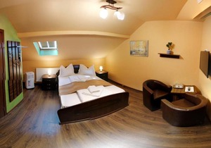 Pensiunea Muresul 3*
